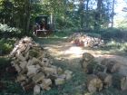 Firewood in the making.